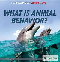 Cover image for What Is Animal Behavior?