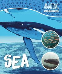 Cover image for Sea