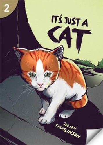 Cover image for It's Just a Cat: Page Turners 2