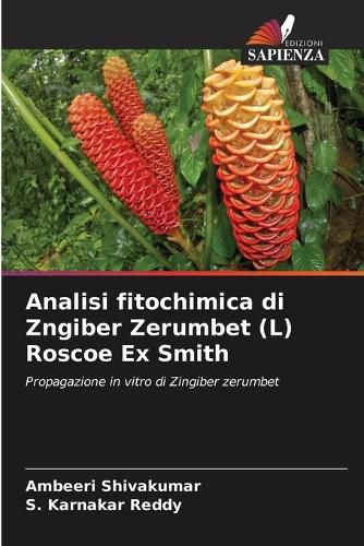 Cover image for Analisi fitochimica di Zngiber Zerumbet (L) Roscoe Ex Smith