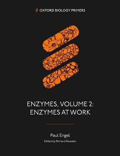 Cover image for Enzymes, Volume 2