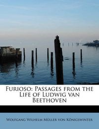 Cover image for Furioso