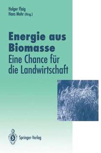 Cover image for Energie aus Biomasse