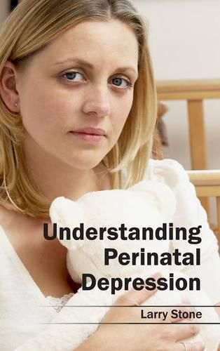 Cover image for Understanding Perinatal Depression