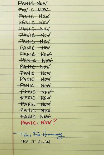 Cover image for Panic Now?