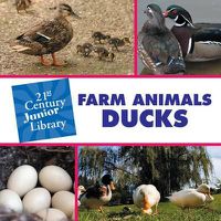 Cover image for Farm Animals: Ducks