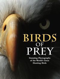 Cover image for Birds of Prey: Stunning Photographs of the World's Great Hunting Birds