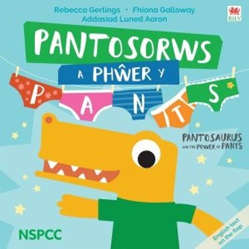 Cover image for Pantosorws a Phwer y Pants