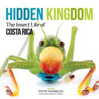 Cover image for Hidden Kingdom: The Insect Life of Costa Rica