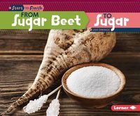 Cover image for From Sugar Beet to Sugar