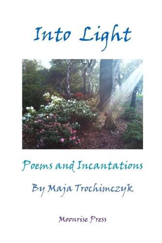 Cover image for Into Light: Poems and Incantations