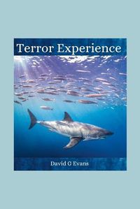 Cover image for Terror Experience