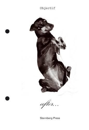 Cover image for After Berkeley - Objectif Exhibitions, 2010-2011