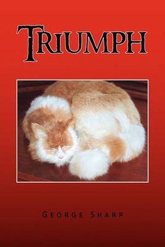 Cover image for Triumph