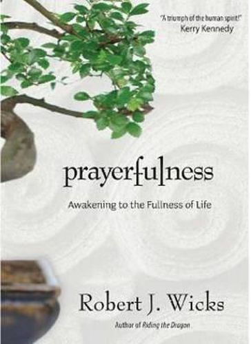 Cover image for Prayerfulness: Awakening to the Fullness of Life
