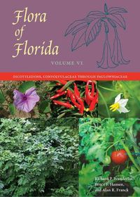 Cover image for Flora of Florida, Volume VI: Dicotyledons, Convolvulaceae through Paulowniaceae