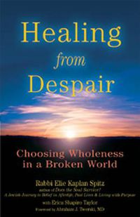 Cover image for Healing from Despair: Choosing Wholeness in a Broken World