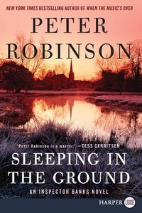 Cover image for Sleeping in the Ground