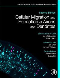 Cover image for Cellular Migration and Formation of Axons and Dendrites: Comprehensive Developmental Neuroscience