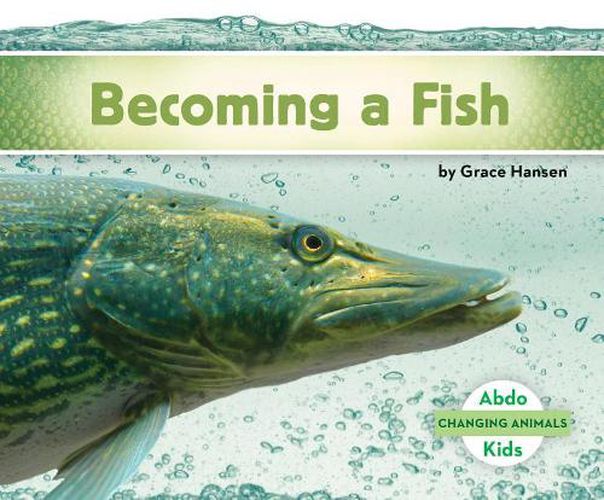 Cover image for Becoming a Fish