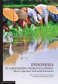 Cover image for Indonesia in a Reforming World Economy