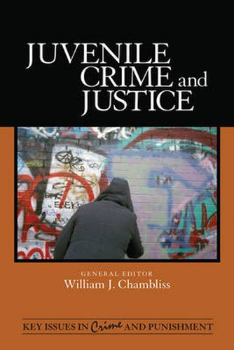 Cover image for Juvenile Crime and Justice