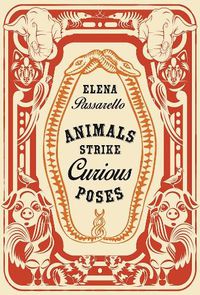 Cover image for Animals Strike Curious Poses