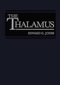 Cover image for The Thalamus