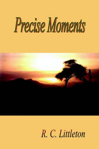 Cover image for Precise Moments