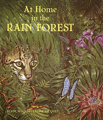 Cover image for At Home in the Rain Forest