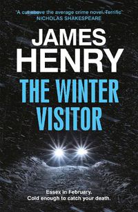 Cover image for The Winter Visitor