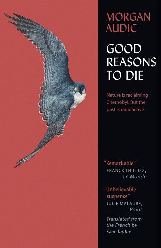 Cover image for Good Reasons to Die