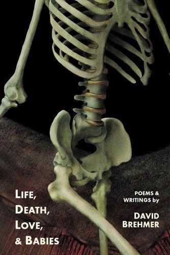 Cover image for Life, Death, Love, and Babies