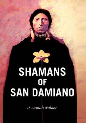 Cover image for Shamans of San Damiano