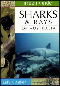 Cover image for Sharks and Rays of Australia
