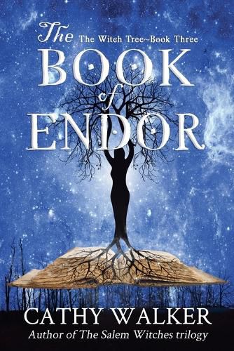 Cover image for The Book of Endor