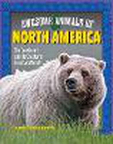 Awesome Animals of North America