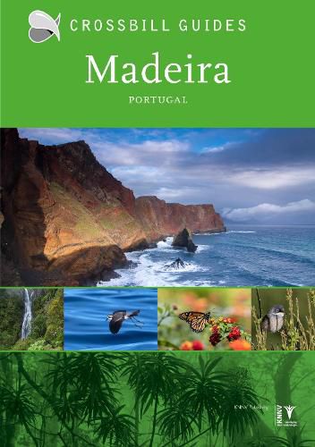 Cover image for Madeira: Portugal