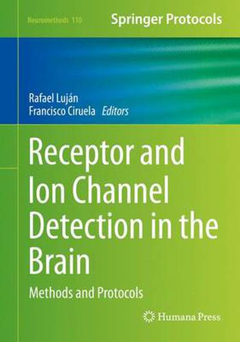 Cover image for Receptor and Ion Channel Detection in the Brain: Methods and Protocols
