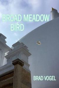 Cover image for Broad Meadow Bird: 15 years of poetry