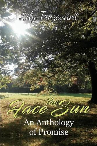 Cover image for Face the Sun: An Anthology of Promise