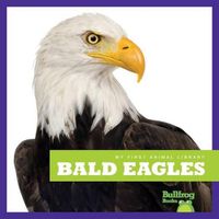 Cover image for Bald Eagles