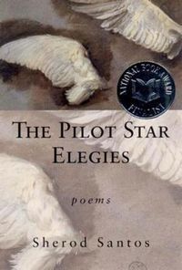 Cover image for The Pilot Star Elegies: Poems