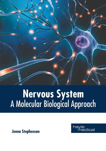 Cover image for Nervous System: A Molecular Biological Approach