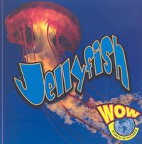 Cover image for Jellyfish