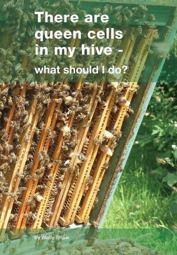 Cover image for There are queen cells in my hive: - what should I do?