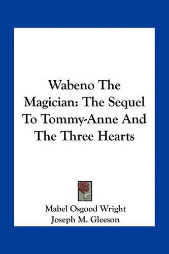 Cover image for Wabeno The Magician