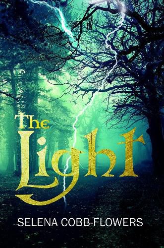 Cover image for The Light