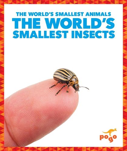 Cover image for The World's Smallest Insects