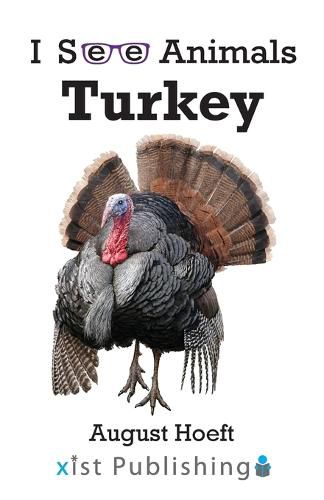 Cover image for Turkey